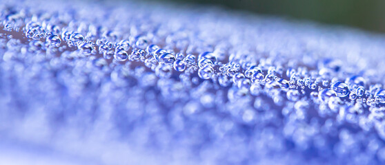 close up of blue water drops