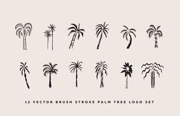 Fototapeten Trendy 12 Brush strokes Palm tree Logo elements set © PipeAmaya