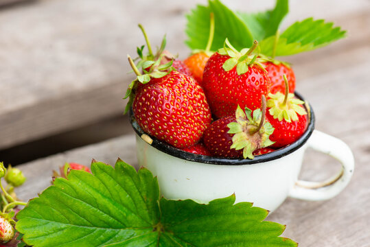 in a white mug green leaves and large strawberries 