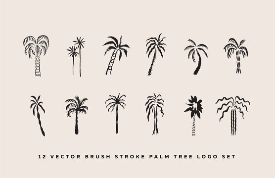 Trendy 12 Brush strokes Palm tree Logo elements set