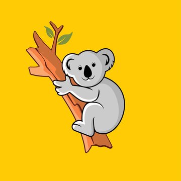 koala on the tree for illustration  background and logo