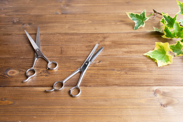 お家でカットイメージ、美容・理容ハサミ