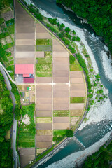 aerial view of rice fields near river
