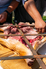 Manos montando cerdo en cruz para asado.
asador de cruz. 
asado campestre al carbón. 