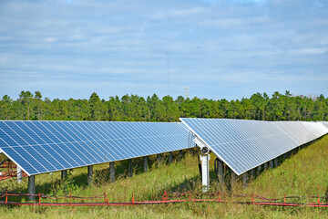 Rows of solar panels at solar energy farm in forest