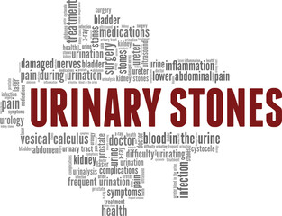 Urinary Stones vector illustration word cloud isolated on a white background.