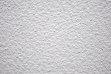 The rough, woolly surface of a white-painted wall.