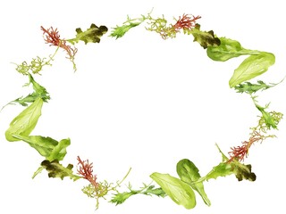 Naklejka premium 水彩のベビーリーフイラストの楕円フレーム