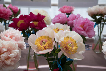 Floral exhibition. Peonies of different colors are in transparent vases. Various varieties of beautiful flowers