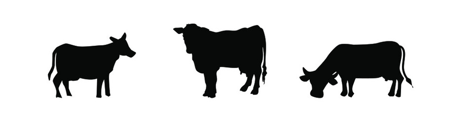 a set of vector cow silhouettes looking for food, black