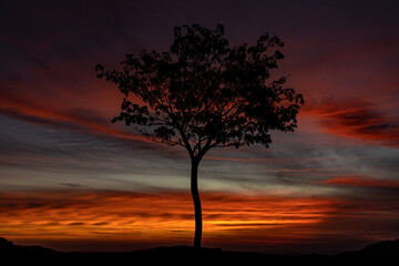 Obraz na płótnie Canvas Sunset in the sky