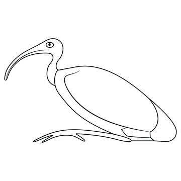 recommend clip art: Perched ibis bird. Sacred animal of god Thoth. Ancient Egyptian mythology. Black and white linear silhouette.