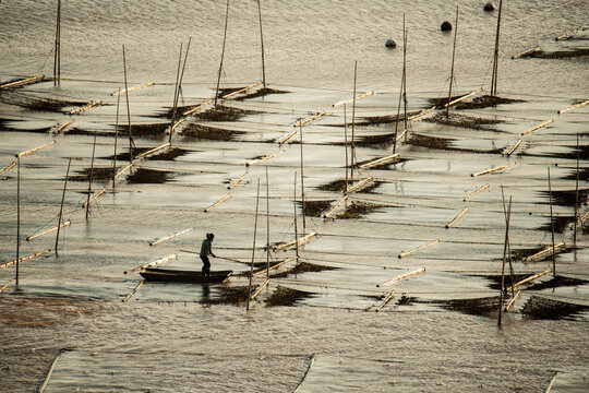 Farmers work at a seaweed farm in Xiapu county, China's Fujian province 