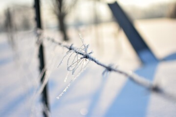 barbed wire fence in snow