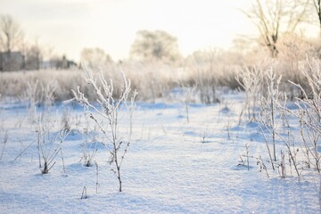 snow covered ground field