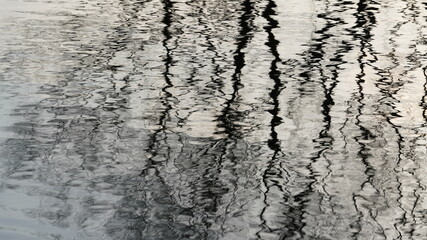 The reflection view in water with the trees shadow on the surface of the water