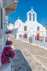 Traditional cycladitic   alley with a narrow street, a whitewashed  church and  blooming flowers in Chora Amorgos  Greece