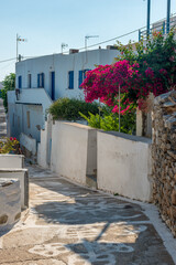 Traditional cycladitic   alley with a narrow street,  whitewashed  houses and a blooming...