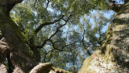 The beautiful countryside view with the river and mountains in the south of the China