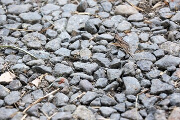 stone wall background