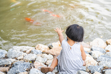 Feeding koi carp fishes at nature pond.