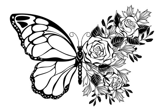 Step By Step Butterfly Drawing For Kids | by Drawing For Kids | Medium-vinhomehanoi.com.vn