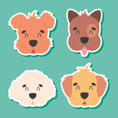 cute dogs heads