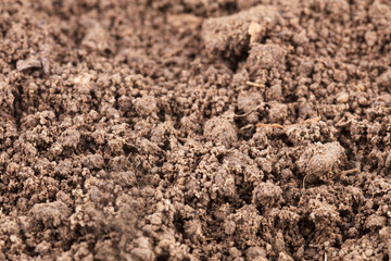 Yellow soil background close-up granular