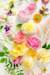 fresh summer flowers and leaves