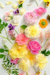 fresh summer flowers and leaves