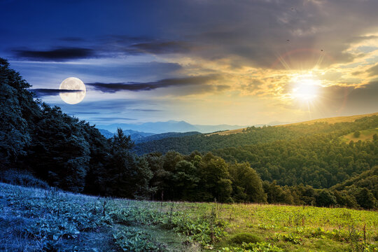 day and night time change concept above countryside landscape. carpathian mountains beneath a sky with sun and moon above horizon. green hills and meadows in twilight. trees on the hill