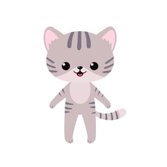 Fototapeta na wymiar Cute gray kawaii cat stands isolated on white background