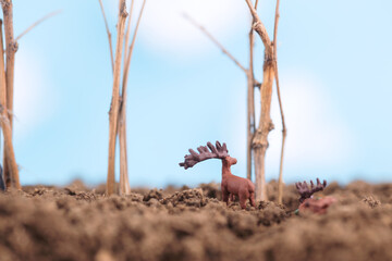 Wild animals near the tree just planted in spring