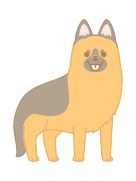 ジャーマンシェパード Images Browse 101 Stock Photos Vectors And Video Adobe Stock