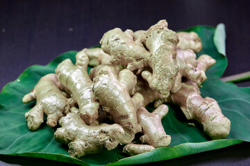 closeup ginger root isolated on green leaf