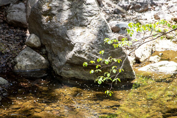 주산지 가는 길