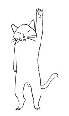 片手を挙げたネコ