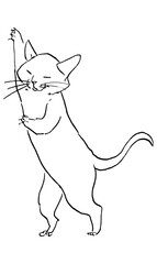 踊るネコ