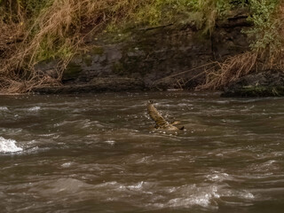 Flying Over Fast Water