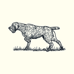 Vintage hand drawn sketch vulnerable native dog