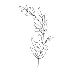 Leaves Branch Line Art Drawing. Floral Minimalist Contour Drawing. One Line llustration. Simple Plant Black Sketch Isolated on White Background. Vector EPS 10