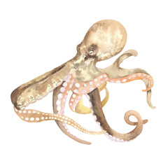 Fototapeta premium Watercolor illustration of an octopus. Perfect for printing, web, textile design, scrapbooking, decoupage, souvenir products.