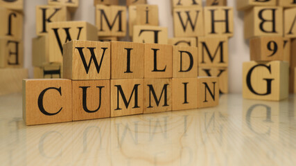 Naklejka premium The word wild cummin was created from wooden letter cubes.