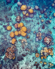 Coral Reef from a drone aerial birds eye top down view rocks and water blue turquoise green natural shape and form no people and copy space corals and sea life