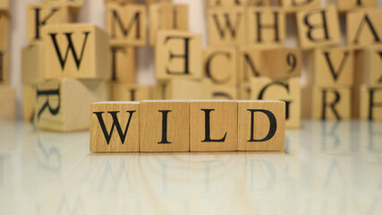 The word wild was created from wooden letter cubes. Wildlife and words.