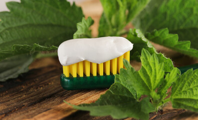 Alternative natural toothpaste based on nettle.