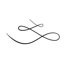 Swirl ornament stroke hand drawn. Ornamental curls with pen, swirls divider and filigree ornaments vector illustration. Black on white