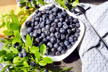 Photo of blueberries illuminated by the sun. Delicious blueberries on a small saucer. Blueberry sprigs.