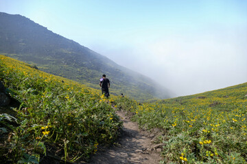 Man walking in flower landscape of a mountainous valley