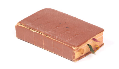 Old bible isolated